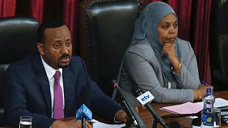 Ethiopia must work harder to attract investment, reformist PM says