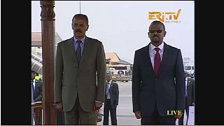 UN Security Council lauds renewed ties between Ethiopia and Eritrea
