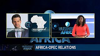 Relations Afrique - OPEP [Business Africa]