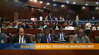 Equatorial Guinea's opposition and the govt granted amnesty [The Morning Call]