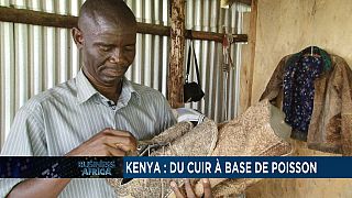 Le cuir de poisson fait appel au sens de la mode et de la fierté au Kenya [Business Africa]