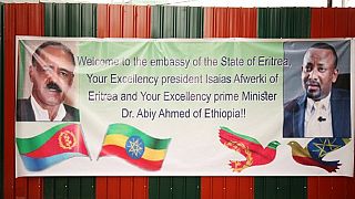 Eritrea appoints first ambassador to Ethiopia in two decades