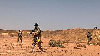 Défait au Niger, Boko Haram sème la désolation au Tchad