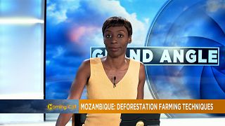 Mozambique's Gile reserve battling to survive deforestation [The Morning Call]