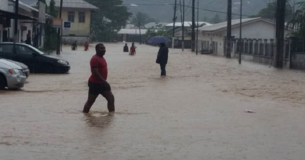 Cameroon cities of Douala, Limbe hit by floods Africanews