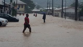 Cameroun : Limbé et Douala, les pieds dans l'eau