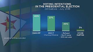 Zimbabwe voter intentions