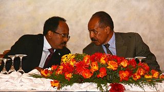 Djibouti 'shocked' by Somalia's position on Eritrea sanctions