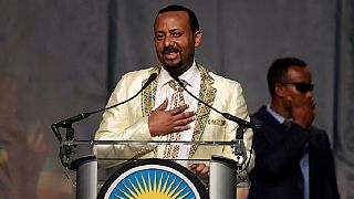 Ethio-Eritrea peace: PM Abiy merits top slot at 2018 U.N. summit - Sweden