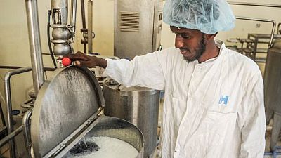 Des entrepreneurs Somaliens ouvrent la première laiterie du pays