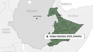 Crisis in Ethiopia's Somali region taking ethnic twist - ONLF worried