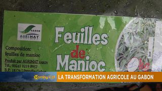 Gabon's agricultural transformation [The Morning Call]