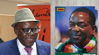 Zimbabwe : le président Mnangagwa "aide" à la libération sous caution de l'opposant Tendai Biti