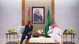 Eritrea backs Saudi Arabia in diplomatic row with Canada
