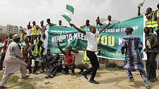 Nigeria's 2019 polls will have 91 parties, over 12m new voters