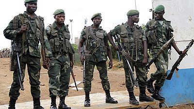 RDC: offensives contre des groupes armés dans l'est (Fardc)