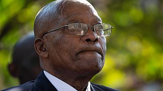 South Africa: Zuma influence- peddling inquiry opens as judge seeks more witnesses