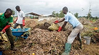 'Trash is gold' as Benin community turns waste into biogas
