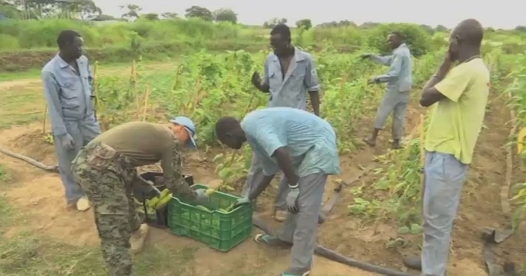 South Sudanese youths empower themselves through food production ...