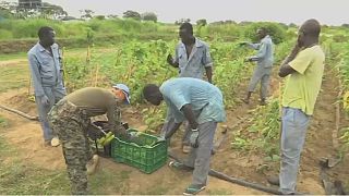 South Sudanese youths empower themselves through food production