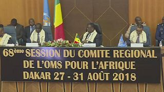 68th W.H.O Regional Committe meeting opens in Dakar