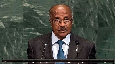 Eritreans free to return home voluntarily – Foreign Minister