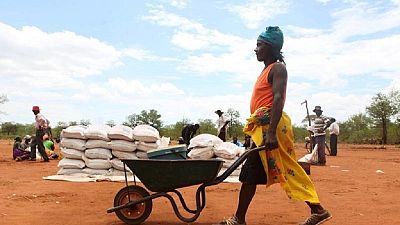 WFP says 1.1 million Zimbabweans will need food aid by 2019