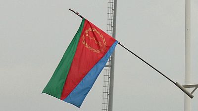 US, France must quickly lift UN sanctions on Eritrea – Ex-US diplomat