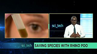 Saving species with Rhino poo [Sci tech]