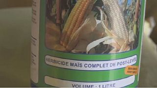 Cancer fear in Benin republic over herbicide use [The Morning Call]
