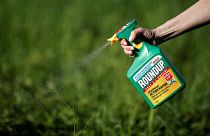 Brief from Brussels: Monsanto storm continues, will Hungary be disciplined?