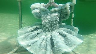 Israel: frozen crystal beauty in the Dead Sea