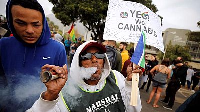 Presidential aspirant to make Nigeria marijuana exporting giant