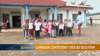 School book stirs sex education debate in Cameroon [The Morning Call]