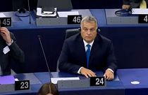 Brief from Brussels: The problem with Article 7