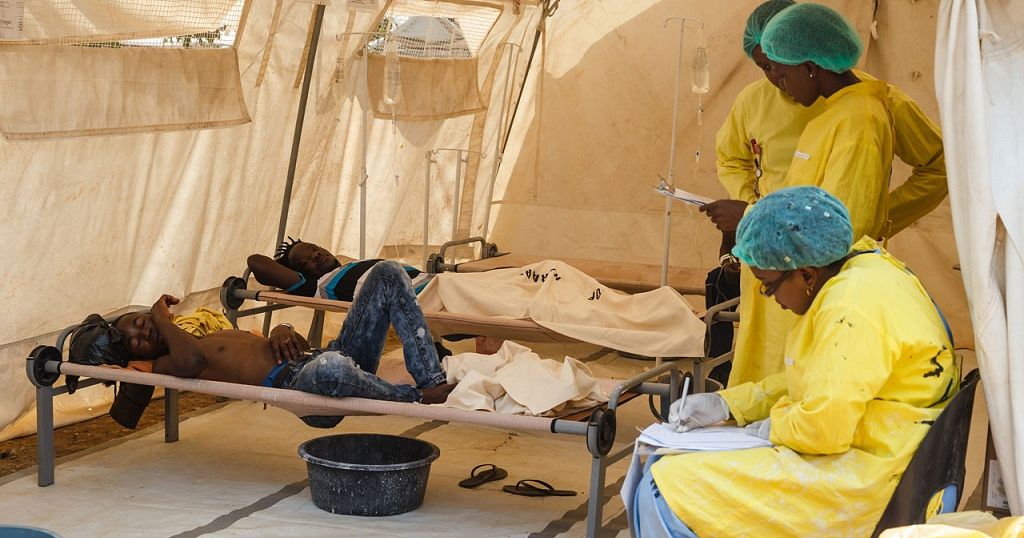 Zimbabwes Cholera Death Toll Reaches 32 Africanews