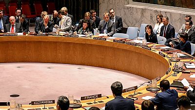 U.N. Security Council hails Eritrea's diplomatic efforts in Ethiopia, Djibouti