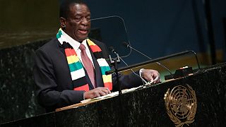 Mnangagwa to consider voting rights for Zimbabweans in diaspora