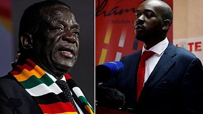 Zimbabwe: Chamisa scoffs at Mnangagwa's offer of 'opposition leader'