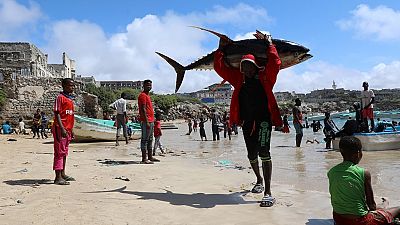 Après la Banque mondiale, l'UE apporte un appui financier à la Somalie