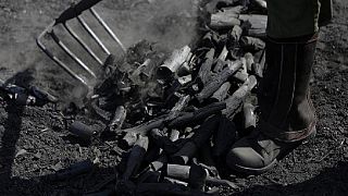 Over 200,000 bags of Somalia charcoal smuggled to Iraq