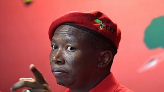 Racisme : en Afrique du Sud, Julius Malema traité de "singe" par un animateur de radio blanc