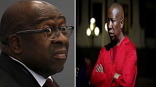 Malema's EFF declares 'war' to remove South Africa's finance minister