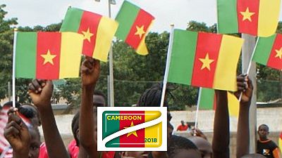 Impartial US tasks Cameroonians to await official poll results