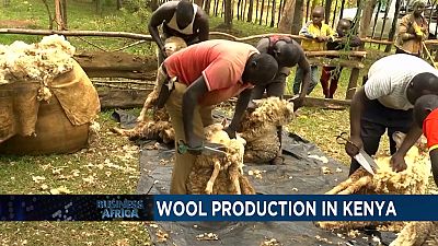 La laine, une matière innovante au Kenya