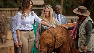 Melania Trump met baby elephants during her Kenyan visit [No Comment]