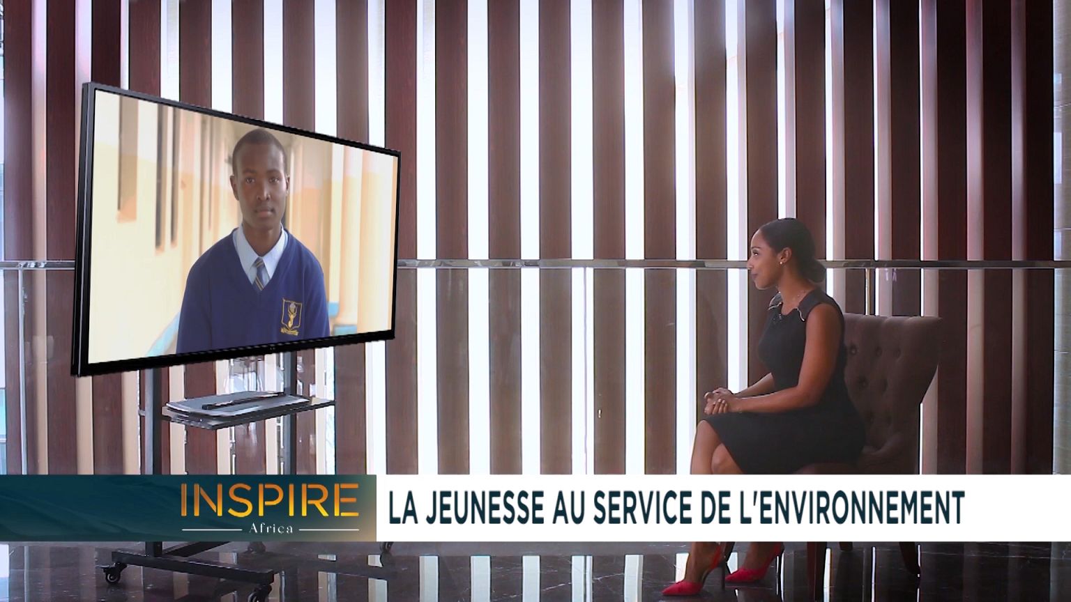 Youths protecting the environment [Inspire Africa]