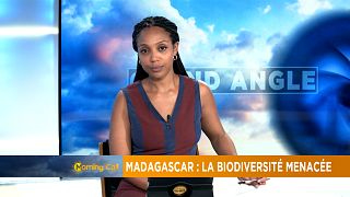 Madagascar: Logging threatens biodiversity [The Morning Call]