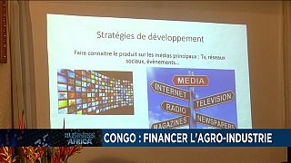 Congo : appels aux financements de l'agro-industrie