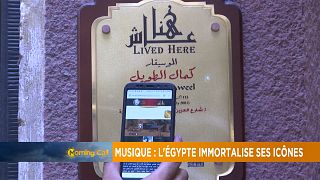 Egypt: Initiative immortalizes cultural icons [The Morning Call]